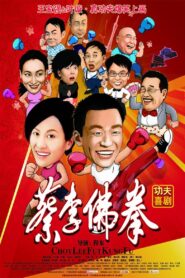 Choy Lee Fut Kung Fu 2011 on netflix