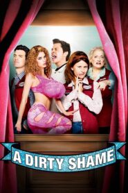 A Dirty Shame 2004 on netflix
