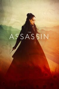 The Assassin 2015 on netflix