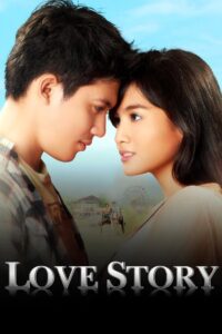 Love Story 2011 on netflix
