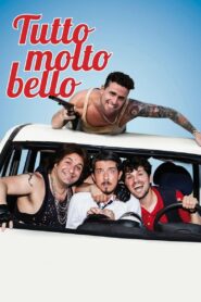 Tutto molto bello 2014 on netflix