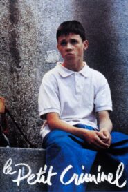 The Little Gangster 1990 on netflix