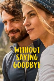 Without Saying Goodbye 2022 on netflix