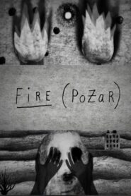 Fire (Pożar) 2015 on netflix