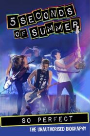 5 Seconds of Summer: So Perfect 2014 on netflix