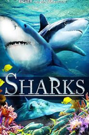 Sharks (in 3D) 2012 on netflix