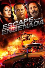 Escape from Ensenada 2018 on netflix