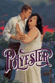 Polyester 1981 on netflix