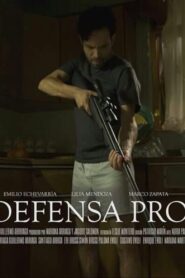 In Self Defense 2015 on netflix