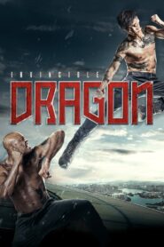 The Invincible Dragon 2019 on netflix
