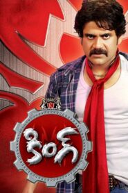 King 2008 on netflix