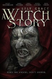 Lily Grace: A Witch Story 2015 on netflix