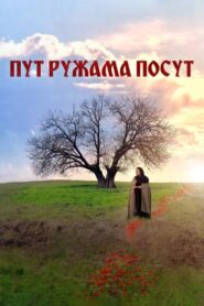 The Path Covered in Roses 2013 on netflix