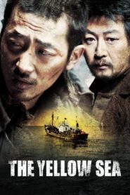 The Yellow Sea 2010 on netflix