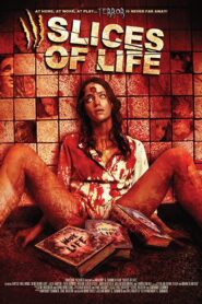 Slices of Life 2010 on netflix