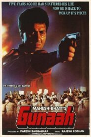 Gunaah 1993 on netflix