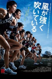 Feel the Wind 2009 on netflix