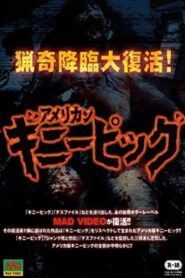 American Guinea Pig: Bouquet of Guts and Gore 1988 on netflix