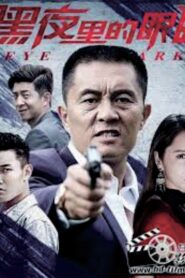Eye in Dark 2020 on netflix