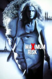 Maximum Risk 1996 on netflix