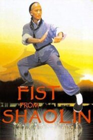 Fist from Shaolin 1993 on netflix