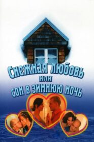 Snow Love, or A Dream on a Winter Night 2003 on netflix