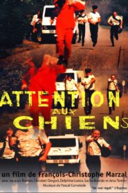 Attention aux chiens 1999 on netflix