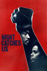 Night Catches Us 2010 on netflix