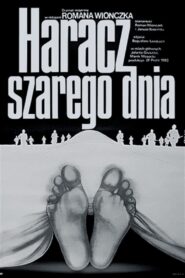 Tribute to a Gray Day 1984 on netflix