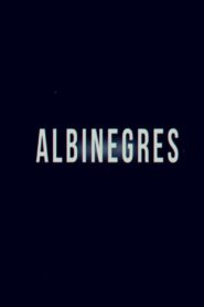 Albinegres 2022 on netflix