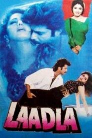 Laadla 1994 on netflix