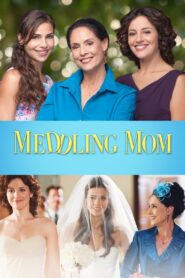 Meddling Mom 2013 on netflix