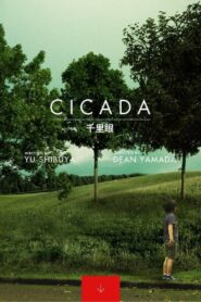 Cicada 2014 on netflix