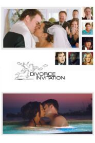 Divorce Invitation 2012 on netflix