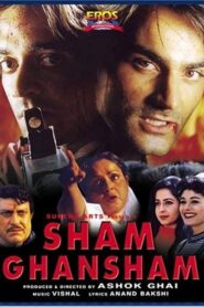 Sham Ghansham 1998 on netflix