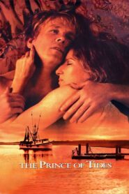 The Prince of Tides 1991 on netflix