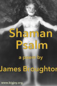 Shaman Psalm 1981 on netflix