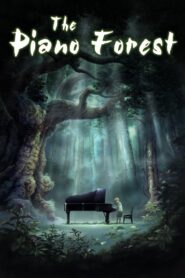 The Piano Forest 2007 on netflix