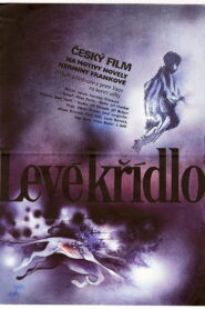 Levé křídlo 1984 on netflix