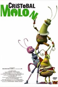 Cristóbal Molón 2006 on netflix
