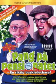 Pang på pensionatet 2011 on netflix