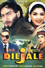 Diljale 1996 on netflix
