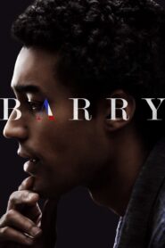 Barry 2016 on netflix