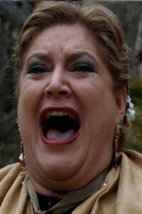 Viva Matanzas 2019 on netflix