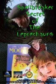 Spellbreaker: Secret of the Leprechauns 1996 on netflix