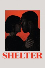 Shelter 2014 on netflix