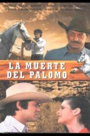 The Death of a Stallion 1983 on netflix
