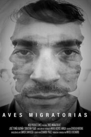 Migratory Birds 2018 on netflix