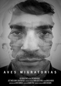 Migratory Birds 2018 on netflix