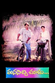 Manasichi Choodu 1998 on netflix